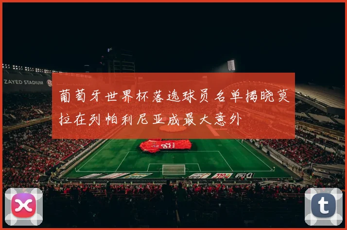 葡萄牙世界杯落选球员名单揭晓莫拉在列帕利尼亚成最大意外