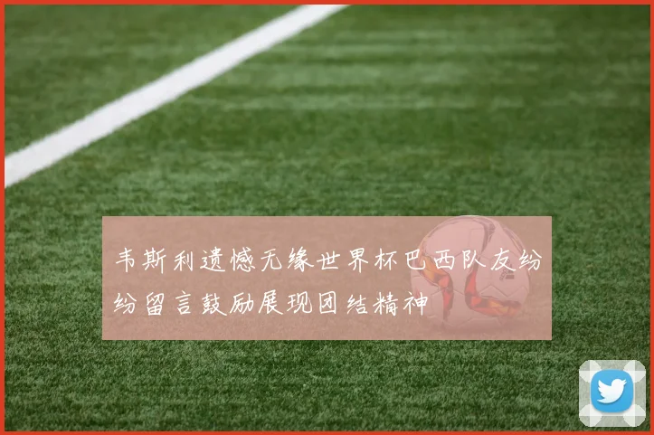 韦斯利遗憾无缘世界杯巴西队友纷纷留言鼓励展现团结精神